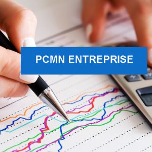 Plan comptable applicable à l'Entreprise 2024 PDF